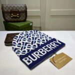 Beanie 2 - 图片 17