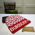 Beanie 2 - 图片 18